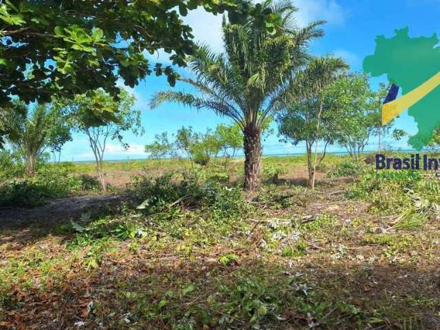 Área pé na areia em santo antônio.