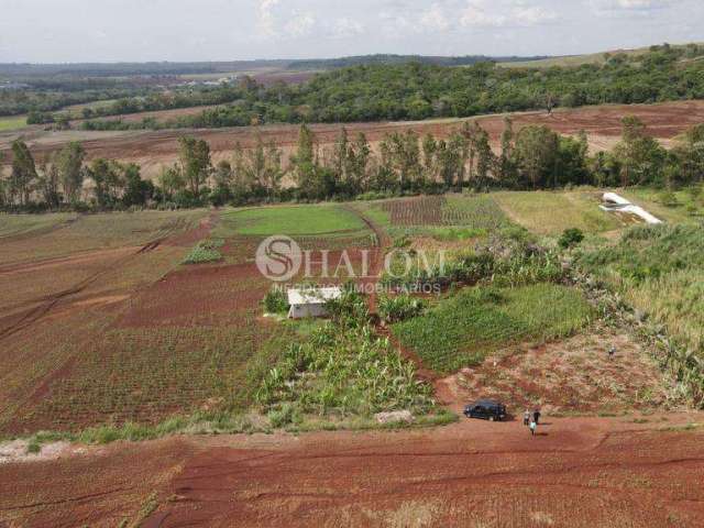 Chácara à venda em Maringá, Parque Industrial 200, com 6600 m²