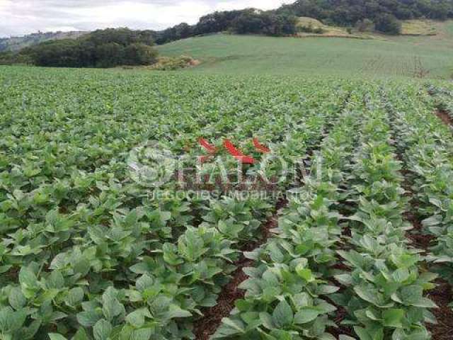 Fazenda à venda em Apucarana, Parque Industrial Zona Oeste, com 2819300 m²