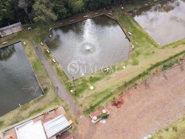 Chácara à venda em Iguaraçu, Rural, com 3 quartos, com 36300 m²