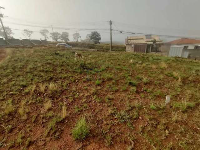 Terrenos Padrão em Poços de Caldas