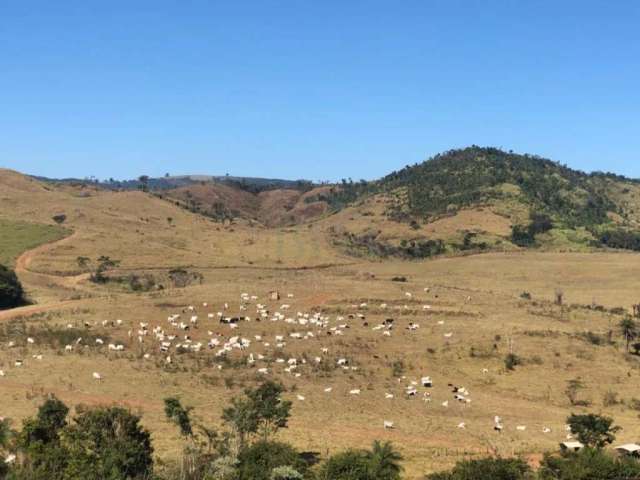 Rurais Fazenda em Caconde