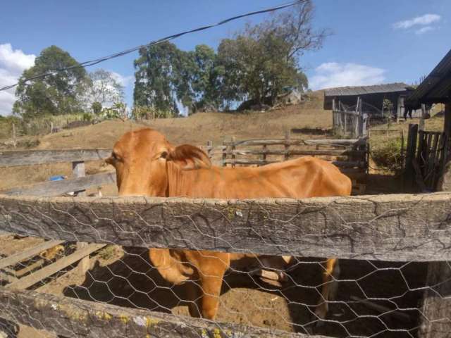 Rurais Sítio em Caldas