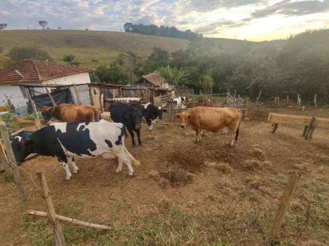 Rurais Chácara em Caldas