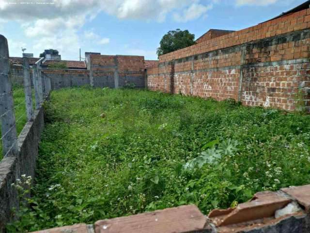 Terreno para Venda em Nossa Senhora do Socorro, São Brás