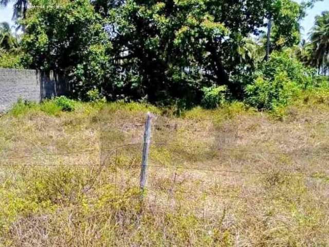 Terreno no bairro Mosqueiro