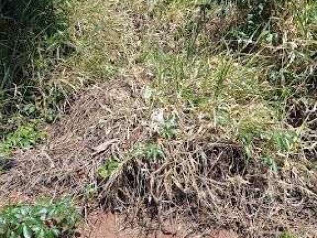 Terreno à venda Vale do Igapó Bauru/SP