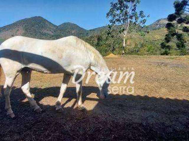 Sítio com 2 dormitórios à venda, 60000 m² por R$ 600.000,00 - Colônia Alpina - Teresópolis/RJ