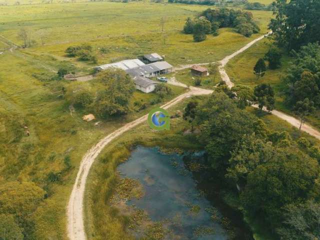 Fazenda à venda em Penha, Paulo Lopes.