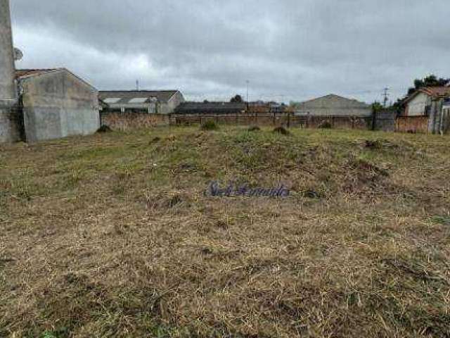 Terreno à venda, 456 m² por R$ 250.000 cada - São Marcos - São José dos Pinhais/PR