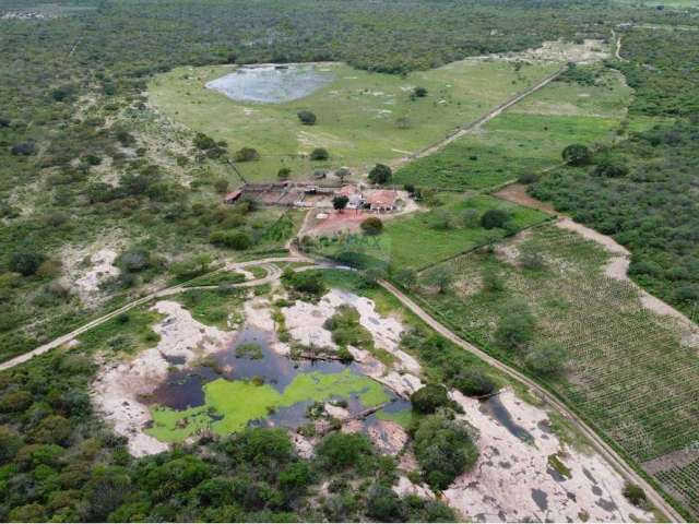 Fazenda completa à venda em Olivedos/PB: 281 hectares com Infraestrutura e Potencial!