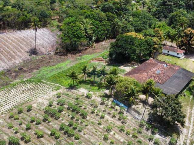 Granja/Sítio à venda no Conde, c/ 16 hectares e c/ 2 rios perenes