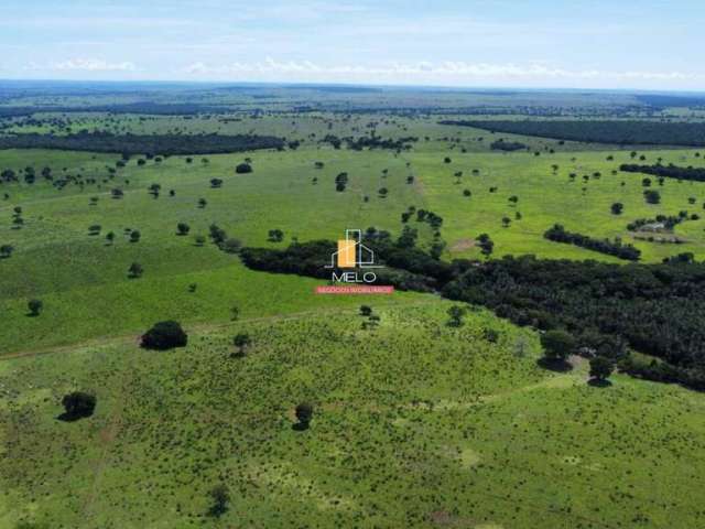 Fazenda de 2.050 hectares na região de Camapuã ms