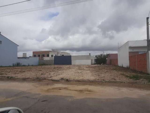 Excelente terreno no bairro Liberdade