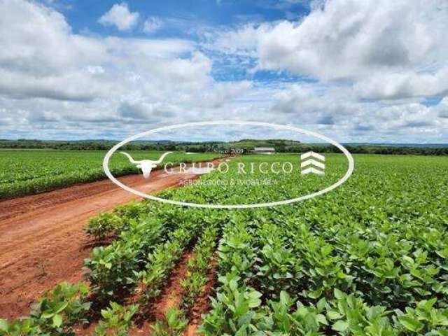 Fazenda em São José do Couto Campinápolis - MT! 1.034 hectares!