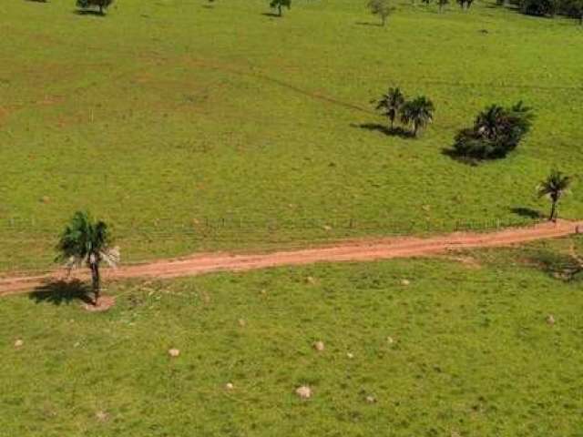 Fazenda de Oportunidade ! 31 Alqueires ! Região de Adelandia-GO !