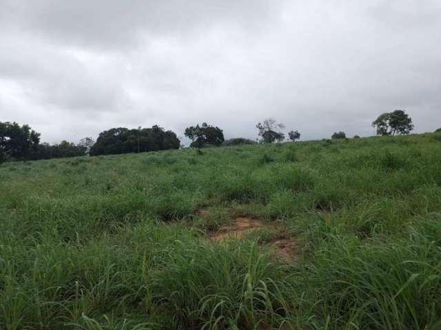 Fazenda de 84 Alqueires em Araguaçu-TO ! Oportunidade !