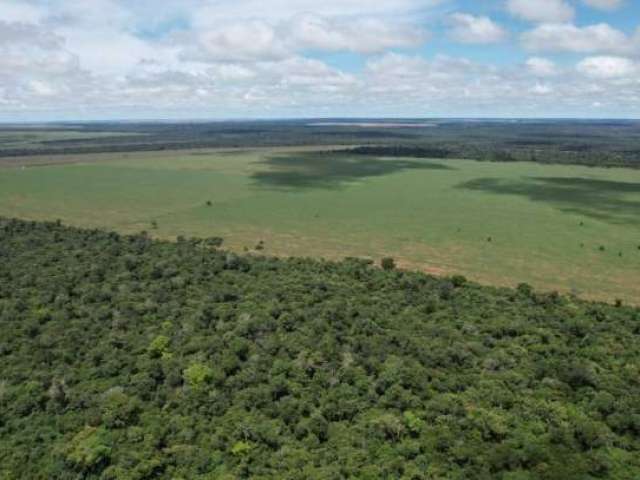 Fazenda de Oportunidade ! Região de Paranatinga-MT ! 2.031 Hectares !