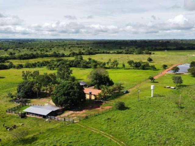 Fazenda de 45 Alqueires em Formoso do Araguaia-TO ! Oportunidade !