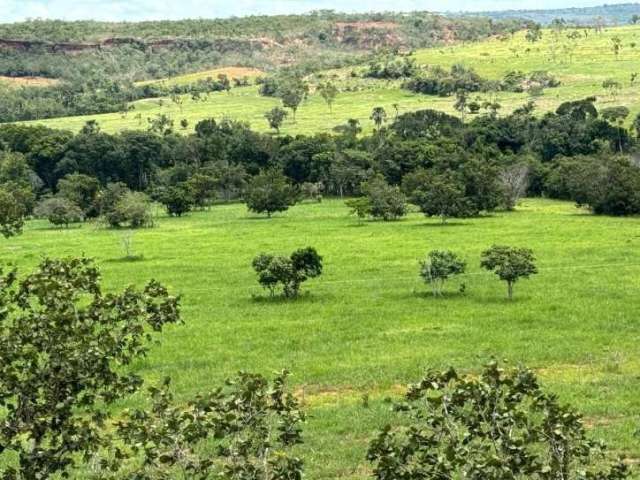 Fazenda na região de Primavera do Leste-MT ! 1.936 Hectares ! Oferta !