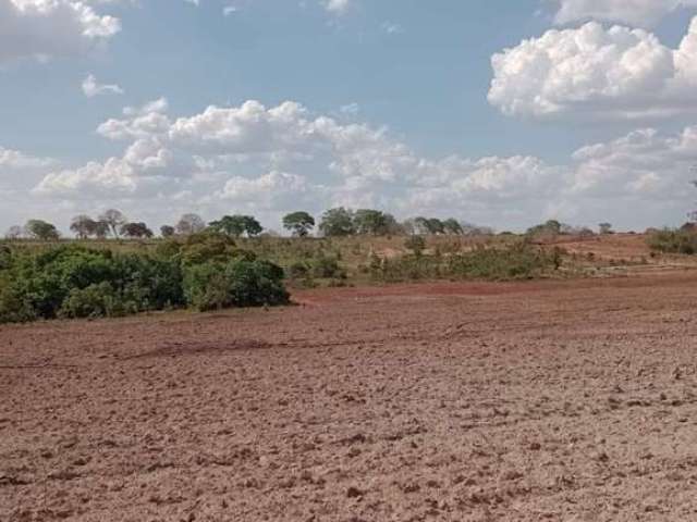 Fazenda de 170 Alqueires em Torixoreu-MT ! Oportunidade Única !