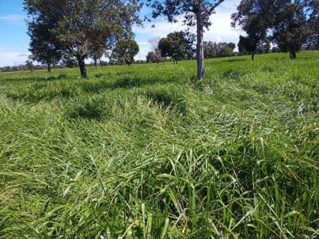 Fazenda na região de Cocalinho-MT ! 126 Alqueires ! Oportunidade !