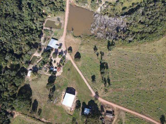 Fazenda de Oportunidade! Região de São Bento-MT ! 1.800 Hectares!