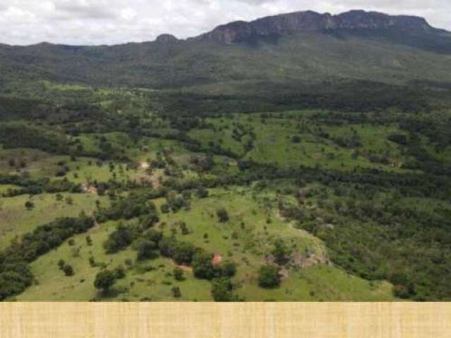 Fazenda de Oportunidade em Goiás ! 66 Alqueires !