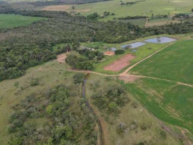 Fazenda município de Santa - Cruz-GO - Dupla Aptidão ! 189.07 Hectares ! 