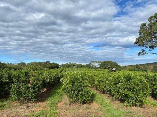 Fazenda de Oportunidade em Januaria-MG ! 210 Hectares !