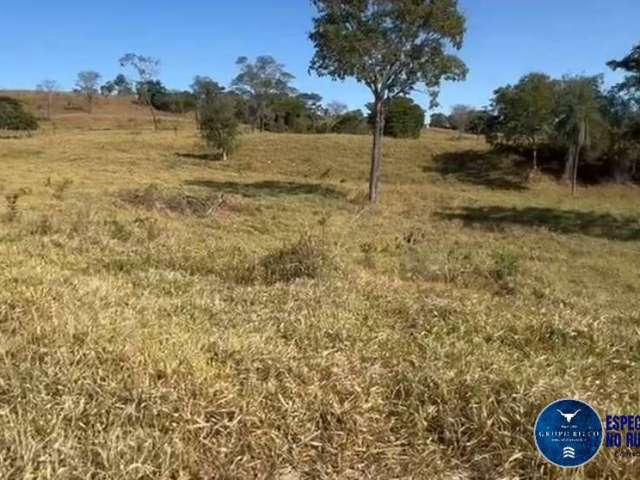 Fazenda de 25 Alqueires em Ivolândia-GO ! 2 km da Cidade !