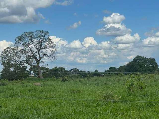 Fazenda de 207 Alqueires na Região de Torixoréu-MT ! Oportunidade !