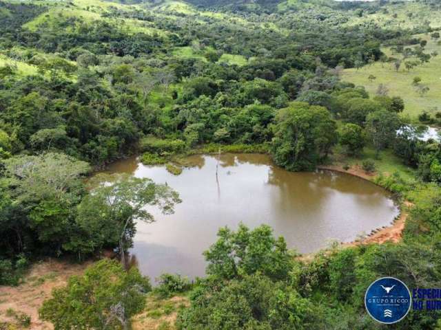 Fazenda de 168 Alqueires em Cocalzinho-GO ! Oferta de mercado!