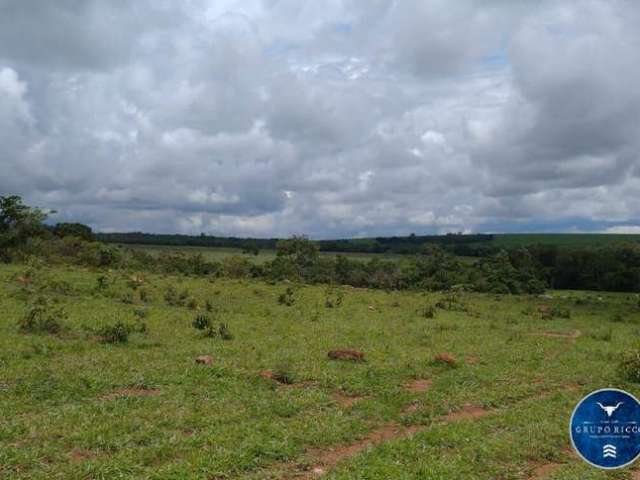 Fazenda de 81 Alqueires na região de Água Fria-GO ! Oportunidade!