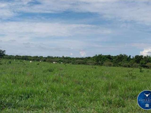 Fazenda de 384 Hectares na região de Barra do Garças-MT ! Oportunidade!