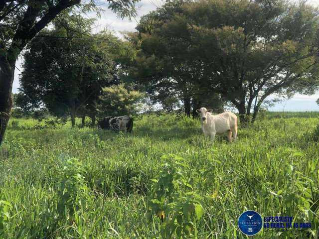 Chácara em Santa Bárbara de Goiás ! 1.5 Alqueires ! Oportunidade !