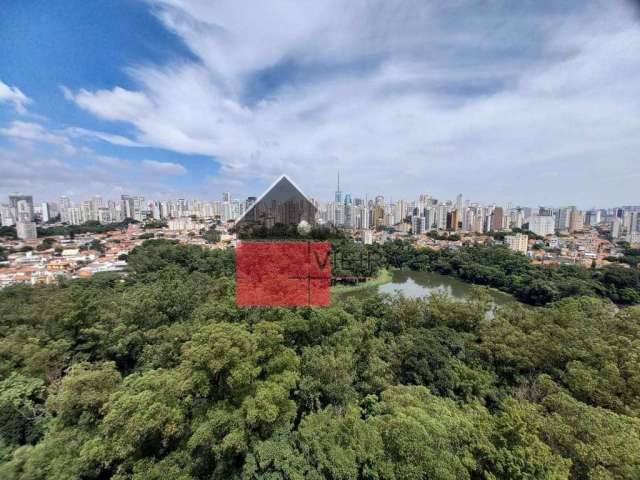 Apartamento à venda, Cambuci, São Paulo, SP