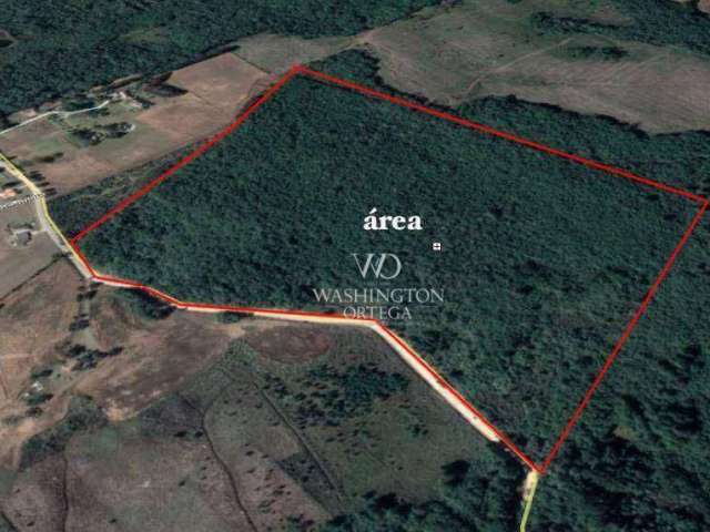 Área à venda, 280000 m² por R$ 10.920.000,00 - Roseira - Campina Grande do Sul/PR