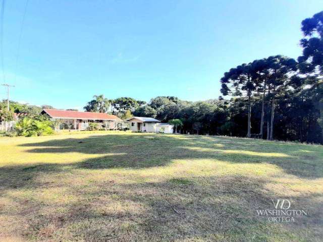 Chácara à venda, 7301 m² por R$ 700.000,00 - Borda Do Campo - São José dos Pinhais/PR