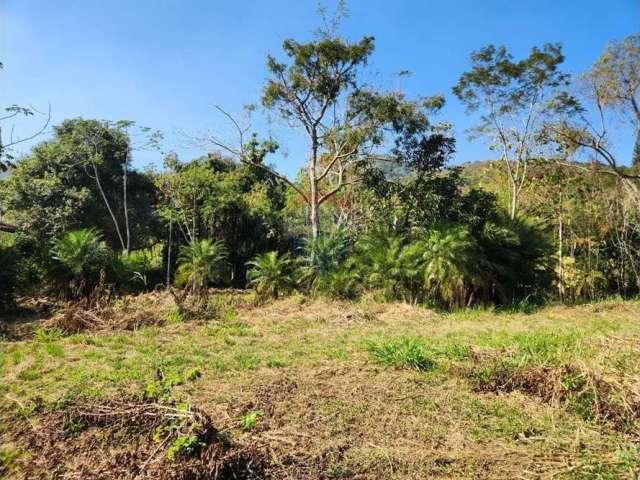 Terreno à Venda - Ilha de Guaratiba, Estrada do Morro Cavado