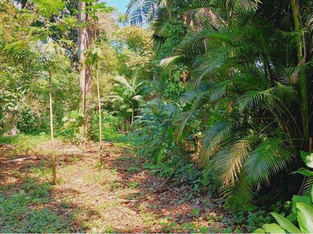 Terreno a venda em Vargem Grande com 6099m