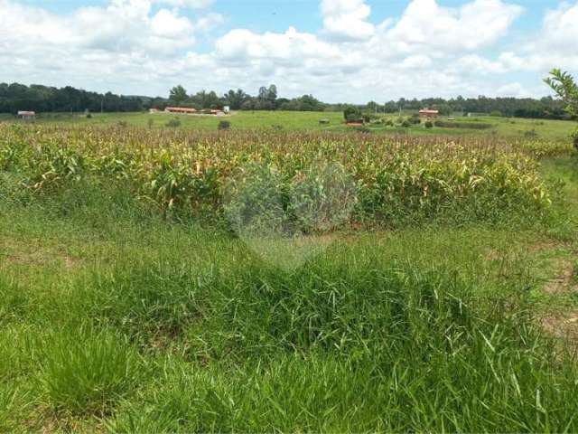 Sítio à venda em Área Rural De Piratininga - SP