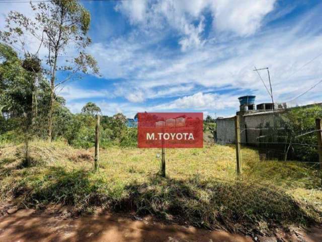 Terreno à venda, 300 m² por R$ 100.000,00 - Terra Preta - Mairiporã/SP