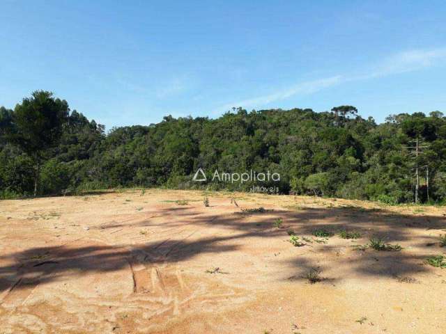 Chácara à venda, 3000 m² por R$ 140.000,00 - Capivari - Campina Grande do Sul/PR