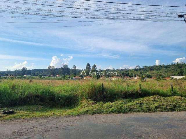 Terreno à venda, 2560 m² por R$ 580.000,00 - Joana Olímpia - Campina Grande do Sul/PR