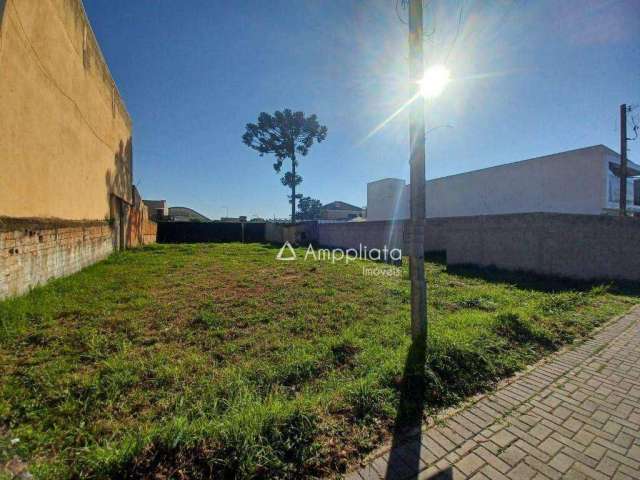 Terreno para alugar, 600 m² por R$ 2.000,00/mês - Jardim Paulista - Campina Grande do Sul/PR