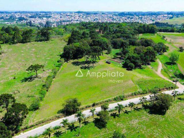 Área à venda, 175100 m² por R$ 5.780.000,00 - Butiá - Campina Grande do Sul/PR