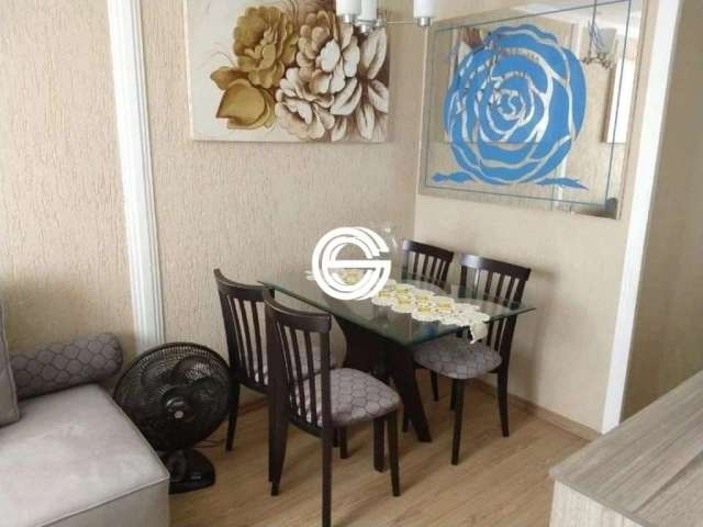 Apartamento com 2 Dormitórios, 42 m² - Vila Matilde