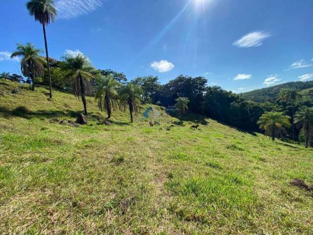 Sítio para Venda em Mogi Guaçu, Roseira, 2 dormitórios, 1 banheiro, 15 vagas