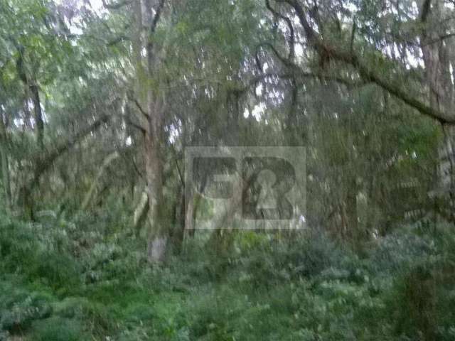 Terreno Rural à venda, Águas Claras, Viamão.